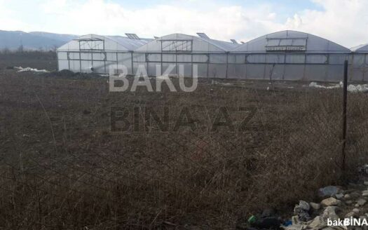 Land for Sale in Shamkir