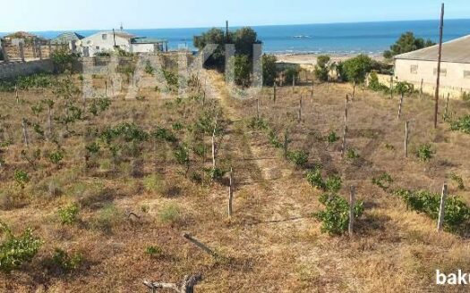 Land for Sale in Baku