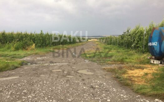 Land for Sale in Gabala