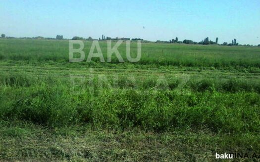 Land for Sale in Agjabadi