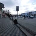Shop for Sale in Baku