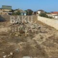Land for Sale in Baku