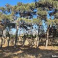 Land for Sale in Baku