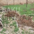 Land for Sale in Baku