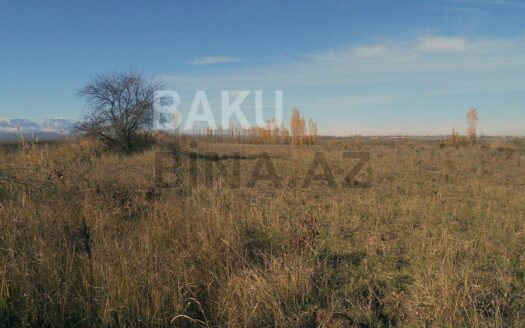 Land for Sale in Guba