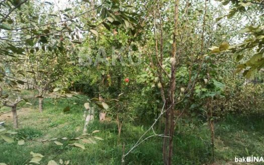 Land for Sale in Baku