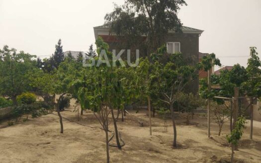 Garden for Sale in Baku