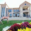Garden for Sale in Baku
