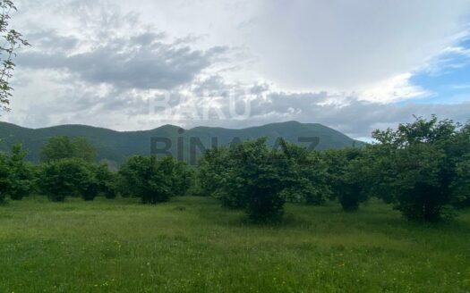 Land for Sale in Gakh