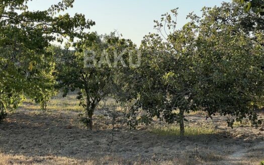 Land for Sale in Baku