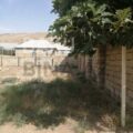 Land for Sale in Baku