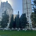 2 Room New Apartment for Sale in Baku