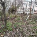 Land for Sale in Baku