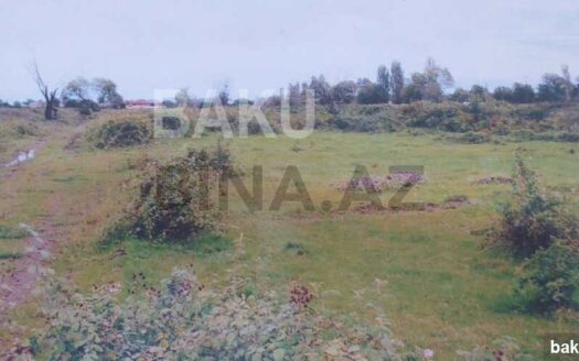 Land for Sale in Lankaran