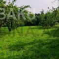 Land for Sale in Gabala