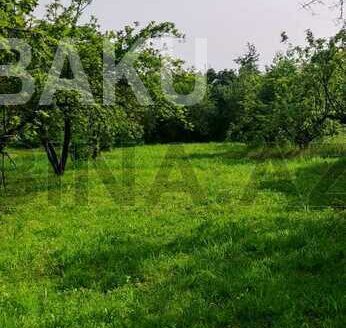 Land for Sale in Gabala