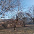 Land for Sale in Gabala